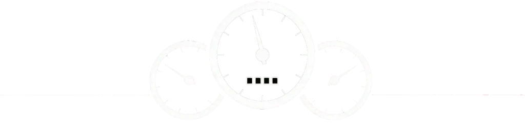 icon 3speedo